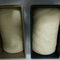 奶油奶酪土司（雙色卷）的做法 步骤3