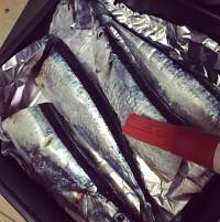 海鹽烤秋刀魚的做法 步骤1
