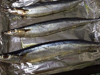 鹽烤秋刀魚的做法 步骤4
