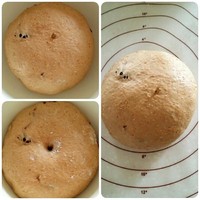胚芽果干面包的做法 步骤5