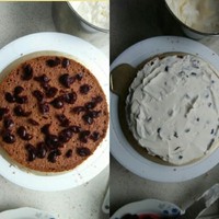 黑森林蛋糕(送給朋友的生日蛋糕)的做法 步骤11