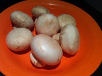 蘑菇豆腐鮮肉餛飩的做法 步骤3
