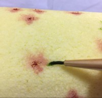 清新碎花手繪蛋糕卷的做法 步骤8