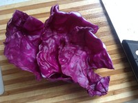 【快手輔食】紫甘藍胡蘿卜豆腐飯（10m+）的做法 步骤3