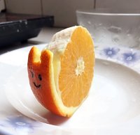 橙子蝸牛(๑╹∀╹๑)的做法 步骤1