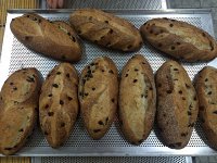 軟歐面包的做法 步骤15