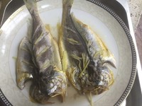 清蒸野生黃花魚的做法 步骤2