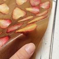 酸酸甜甜草莓脆的做法 步骤5
