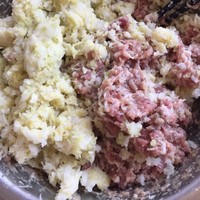 白菜豬肉水餃初試牛刀版的做法 步骤9