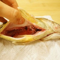 古法清蒸桂花魚的做法 步骤1