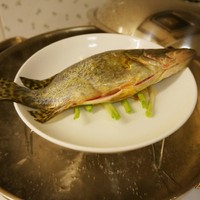 古法清蒸桂花魚的做法 步骤8