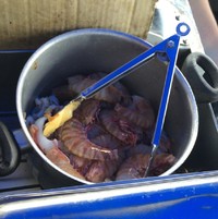 黃油燜大蝦的做法 步骤5