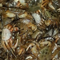 螃蟹醬福州美味的做法 步骤1