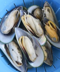川式香辣新西蘭翡翠青口貝的做法 步骤1