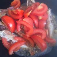 西紅柿悶海魚的做法 步骤5