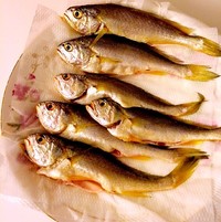 香煎野生小黃花魚的做法 步骤1