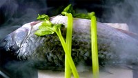 雪芹鯽魚豆腐∣一條視頻的做法 步骤6