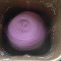 紫薯吐司的做法 步骤3