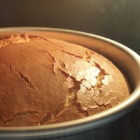 寶寶戚風蛋糕（無泡打粉，低油，低糖版）的做法 步骤16