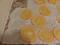 橙子干的做法 步骤15