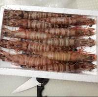 清蒸斑節蝦的做法 步骤1