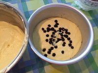 檸檬輕乳酪蛋糕 奧利奧底&草莓裝飾的做法 步骤13