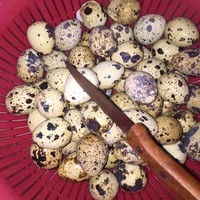 五香鵪鶉蛋的做法 步骤2