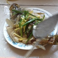 清蒸桂魚的做法 步骤5
