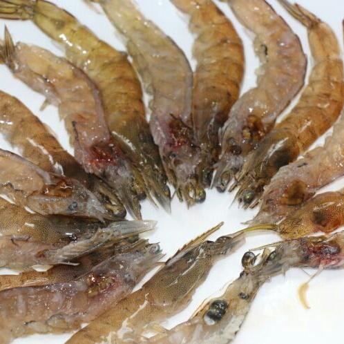 白蟹明蝦海鮮粥的做法 步骤5