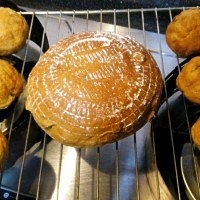 湯種粗糧蜜棗面包的做法 步骤17