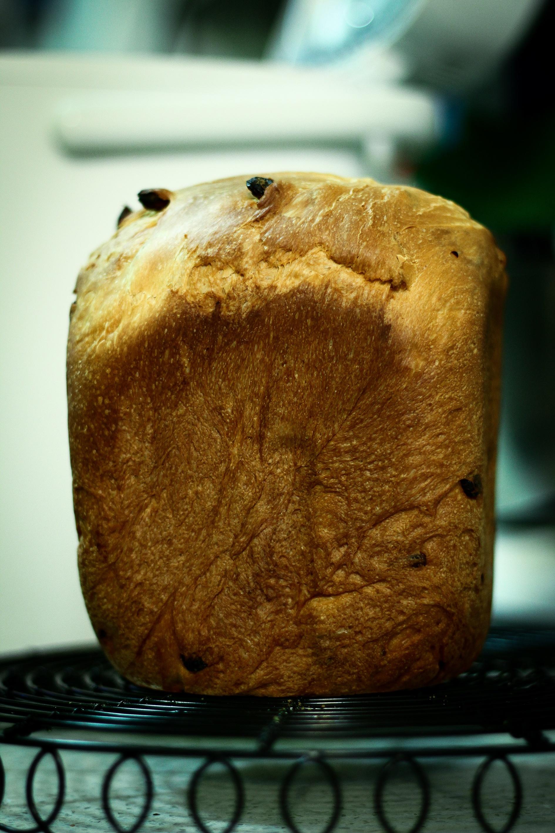 干果風味土司面包（松下/panasonic面包機版）的做法 步骤10