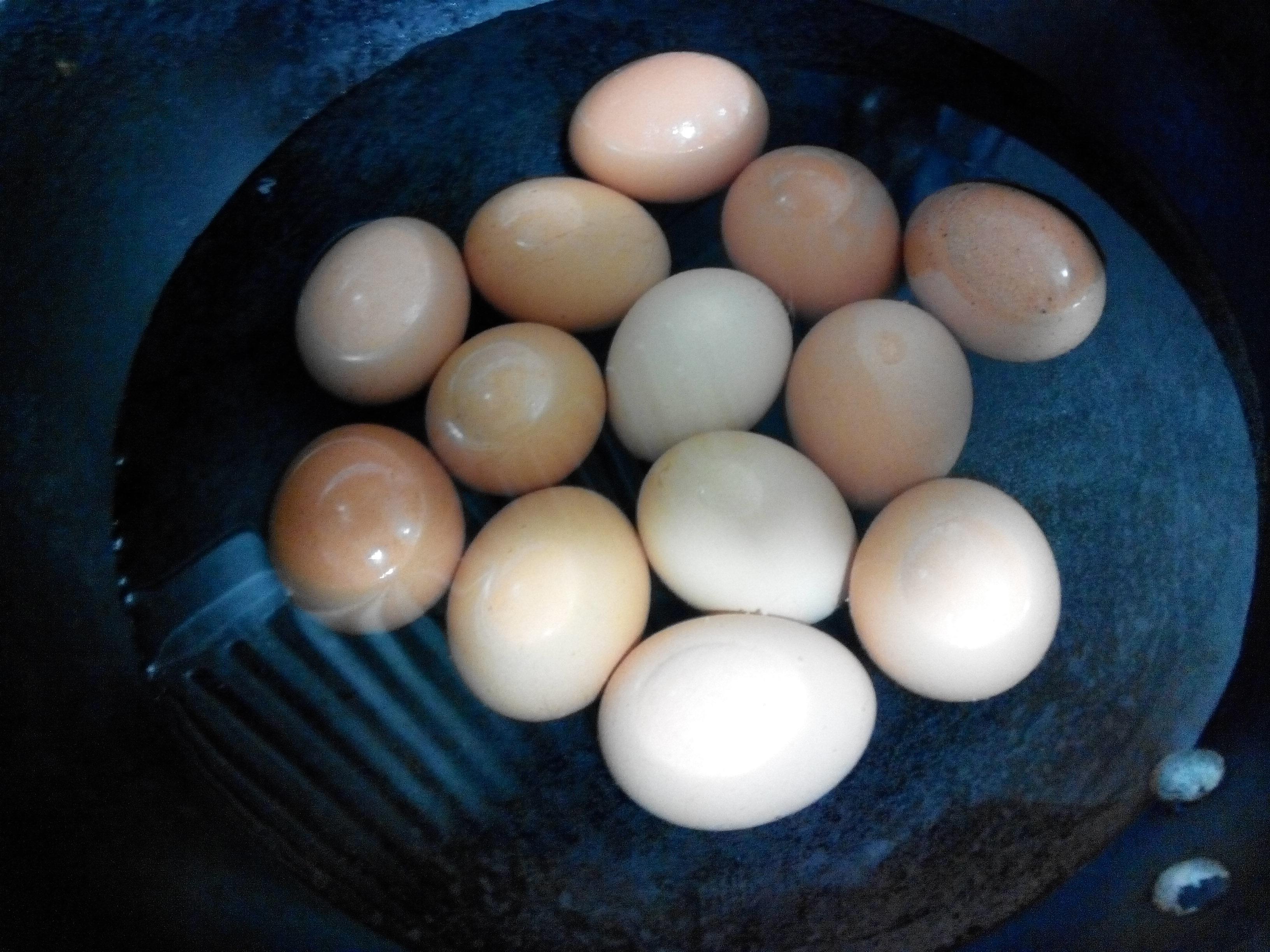 被嫌棄的五香鹵蛋的做法 步骤1