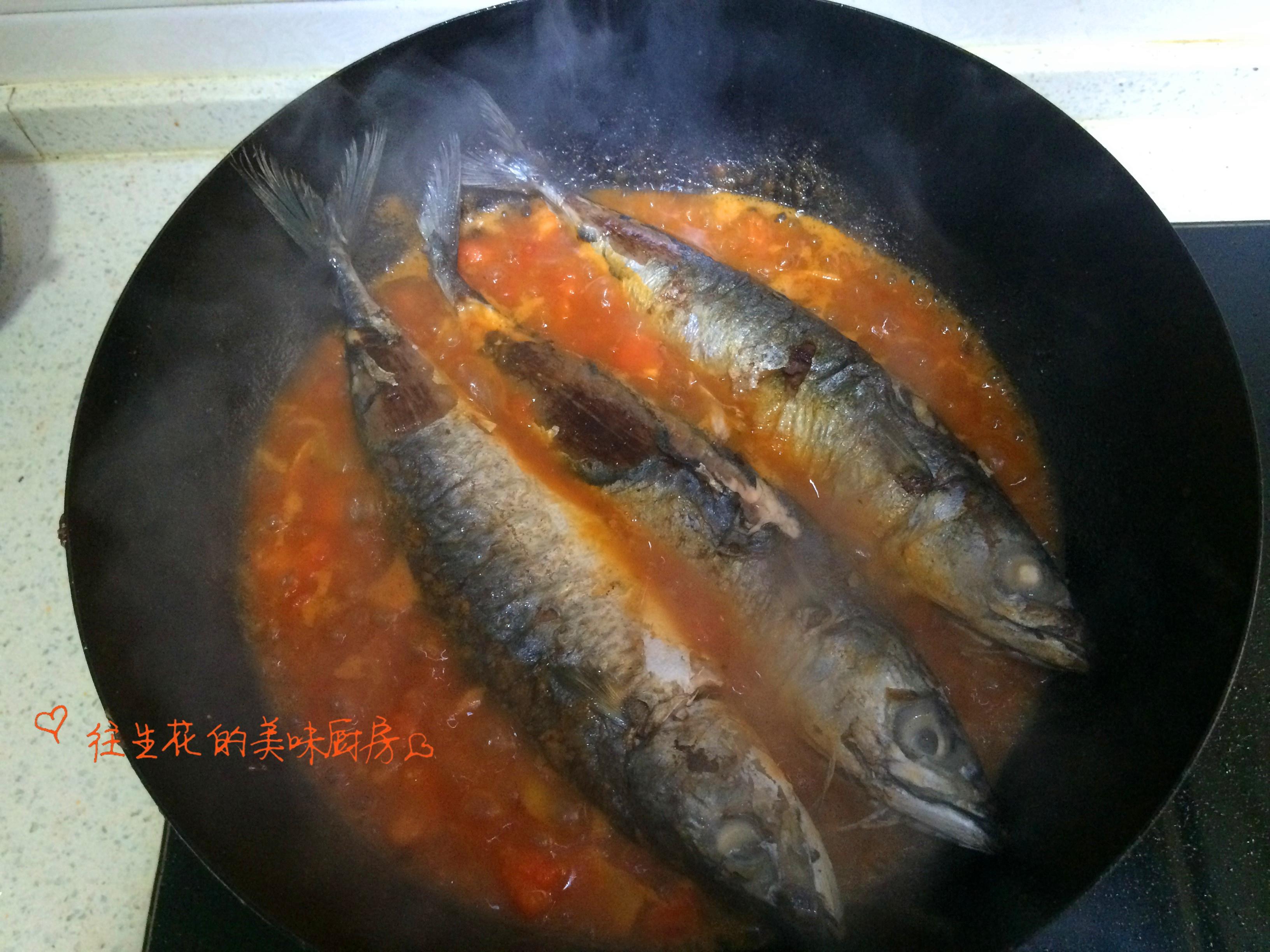 西紅柿炖鱍魚的做法 步骤8