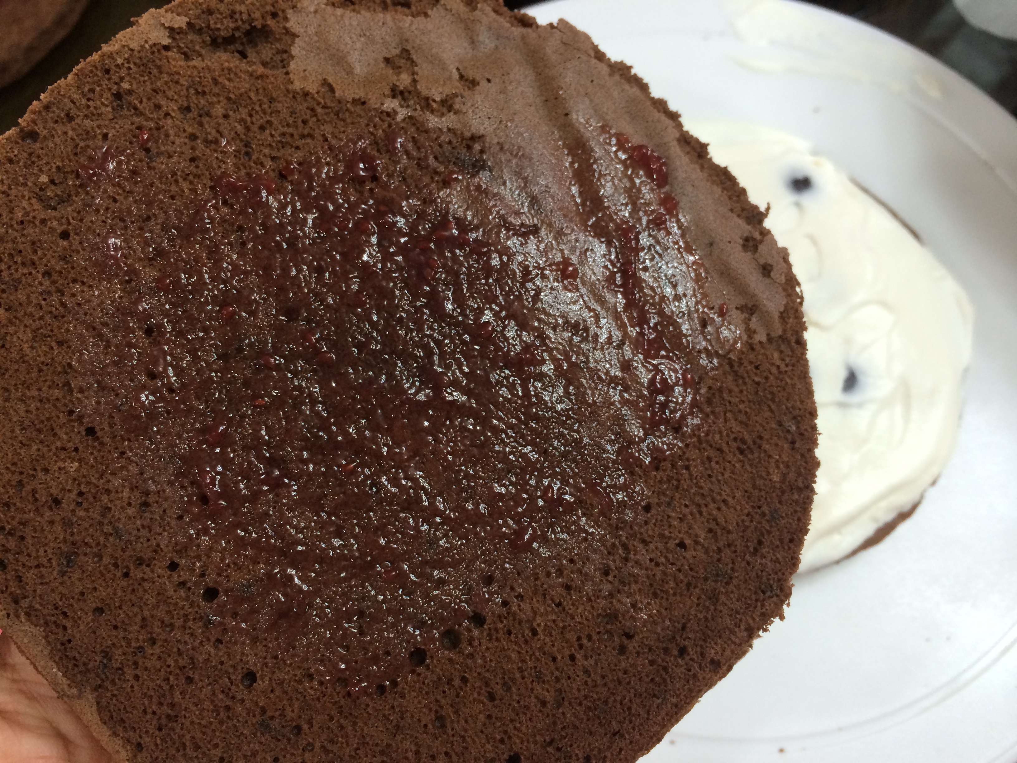 黑森林蛋糕（巧克力櫻桃奶油蛋糕）-Miya的做法 步骤15