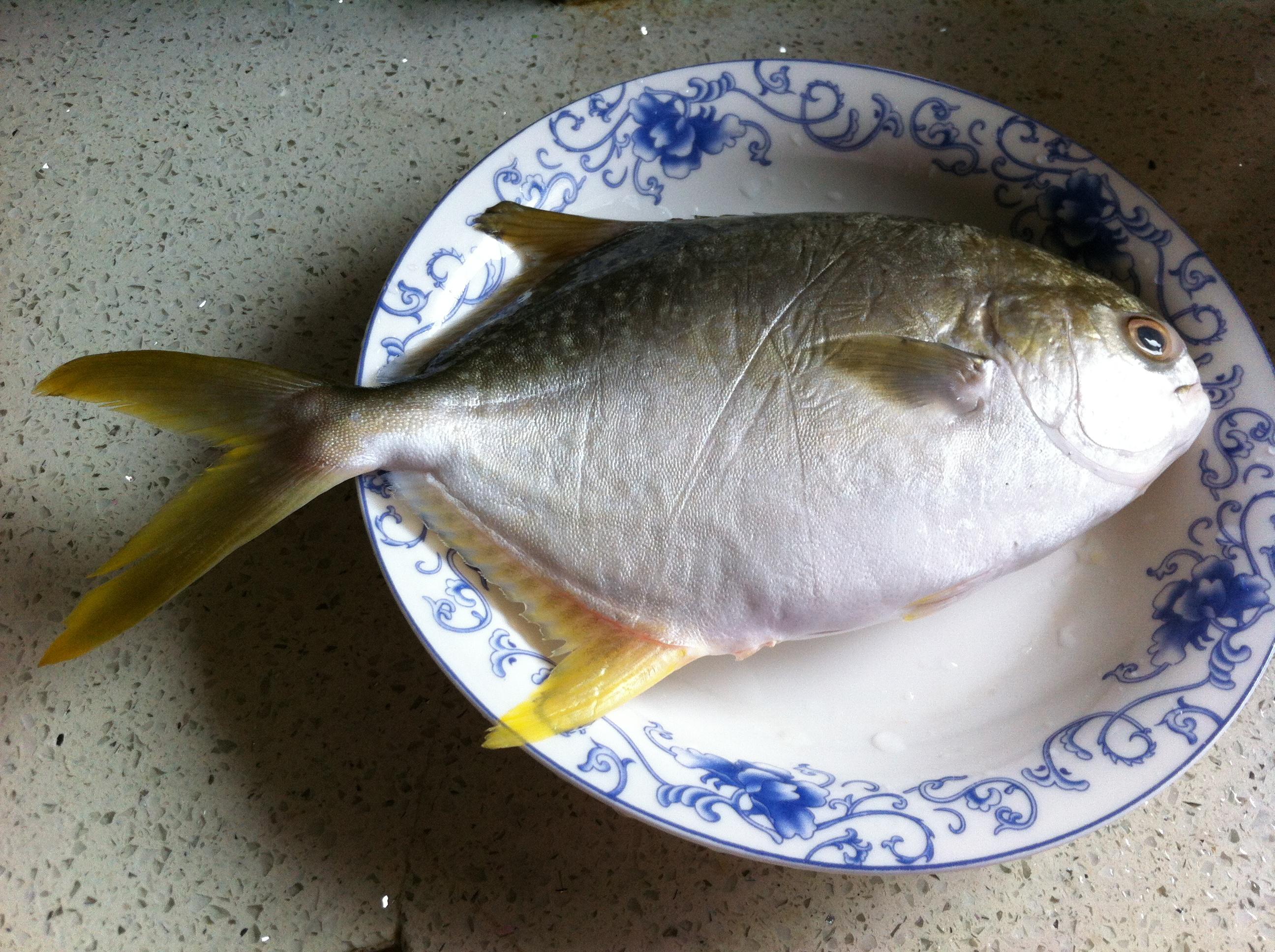 紅燒金鯧魚的做法 步骤1