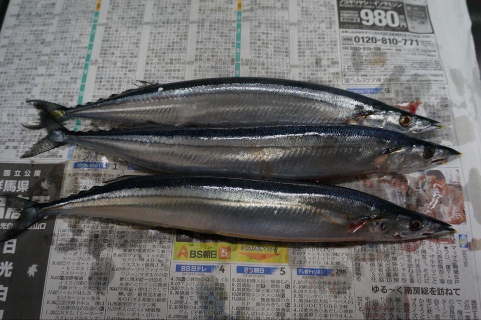 日式煎秋刀魚的做法 步骤1