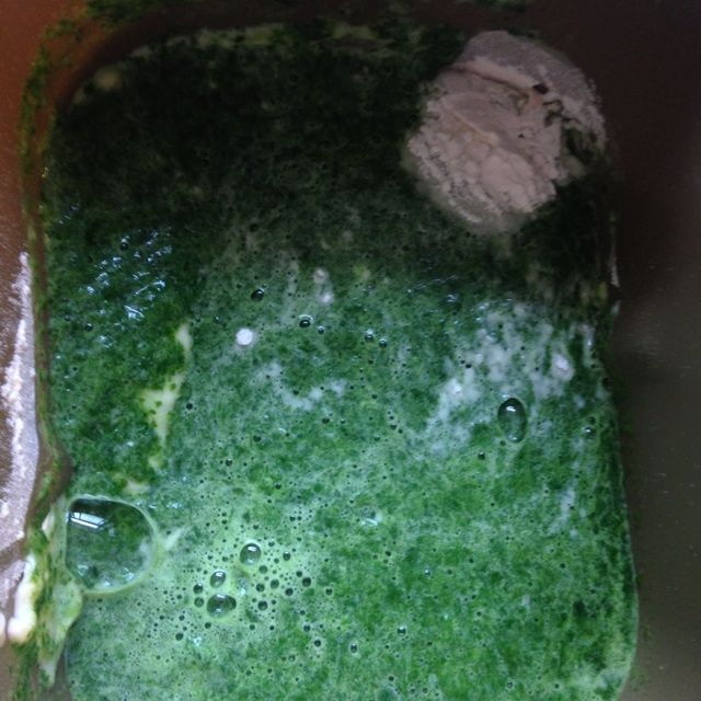 綠皮蓮藕牛肉餃子的做法 步骤1