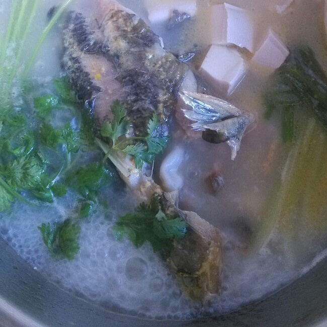 昂刺魚豆腐湯的做法 步骤4
