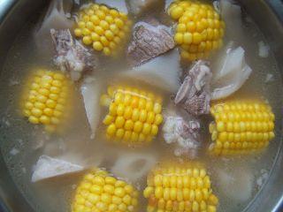 玉米排骨湯的做法 步骤4