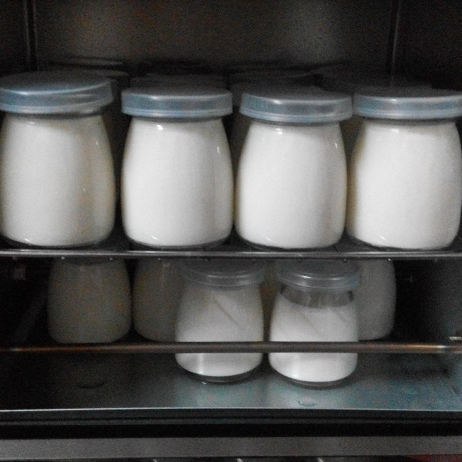 烤箱版酸奶的做法 步骤5