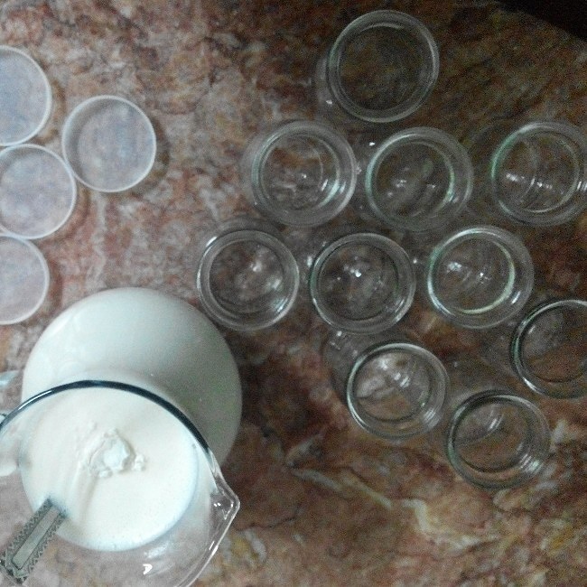 烤箱版酸奶的做法 步骤4