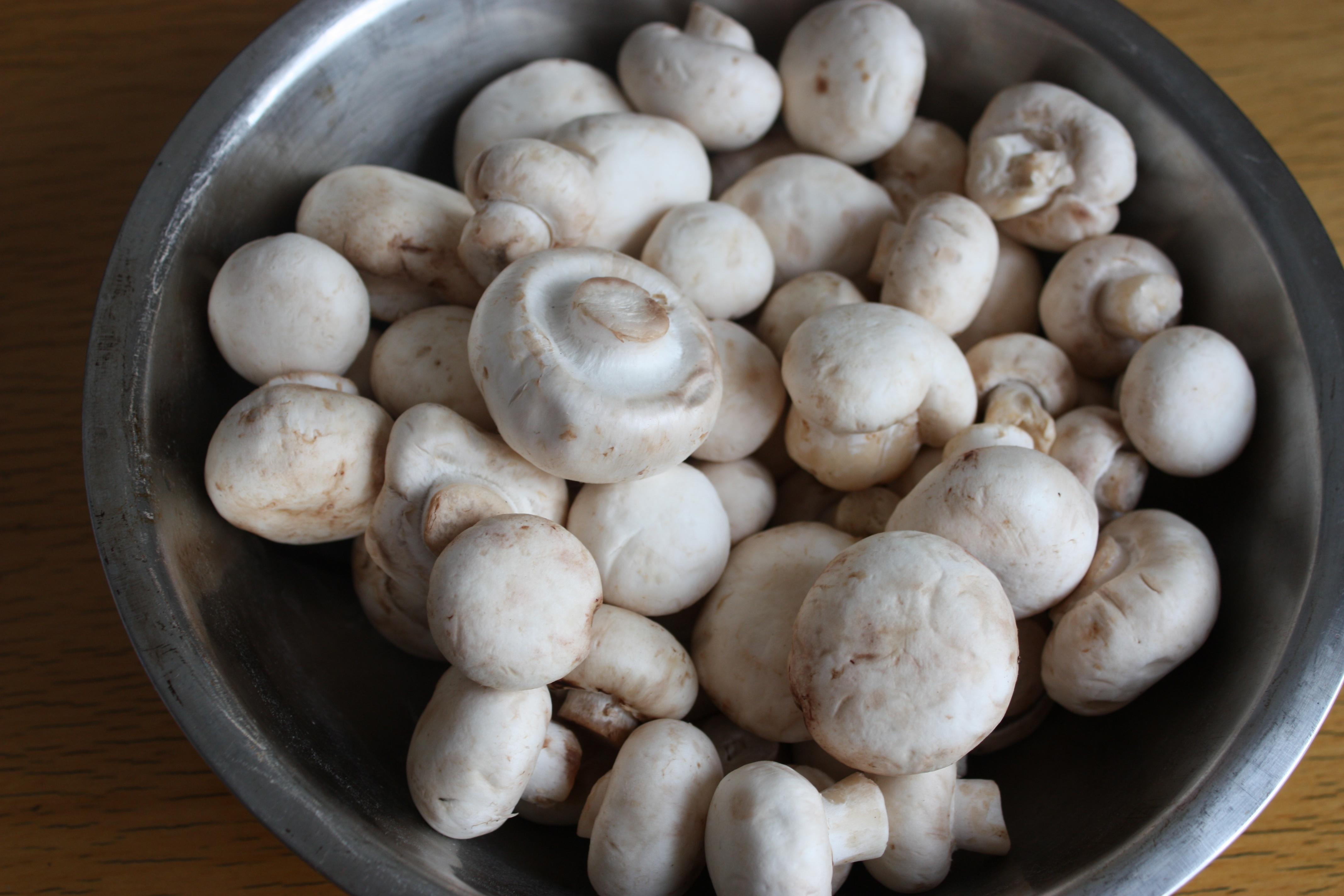 “鮮”美的簡單快手菜——素炒鮮口蘑的做法 步骤2