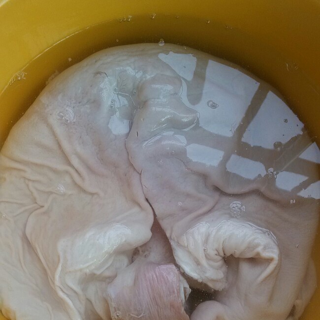 蓮子豬肚湯的做法 步骤2