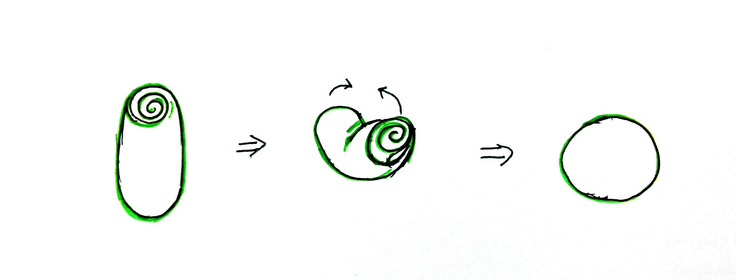 【幸福四葉草】 抹茶豆沙四葉草酥餅的做法 步骤9