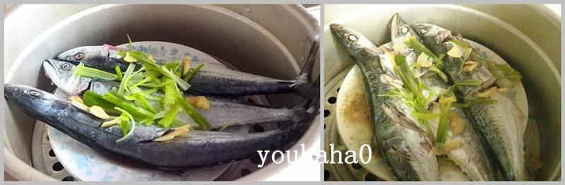 鮮魚蒸著吃--清蒸鱍魚的做法 步骤4