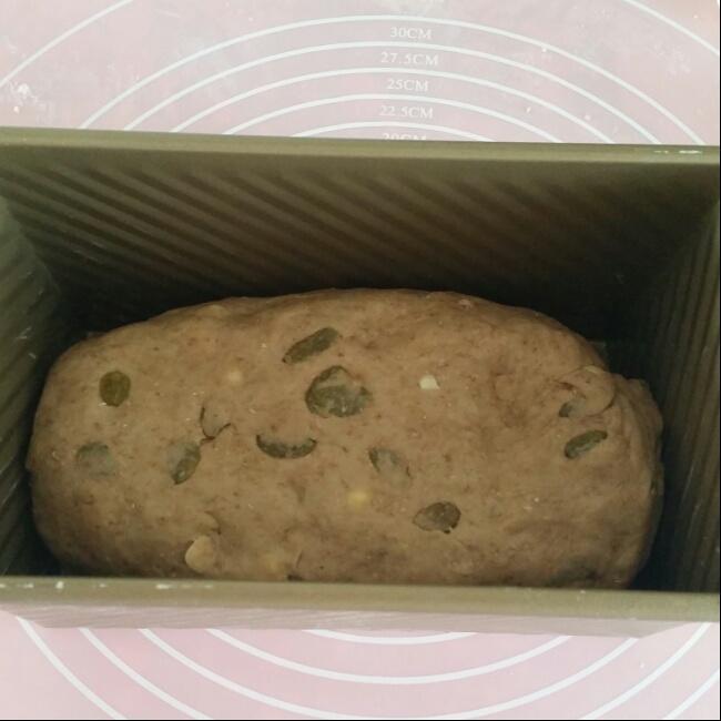 Malt Loaf 【保羅教你做面包S01E01】的做法 步骤8