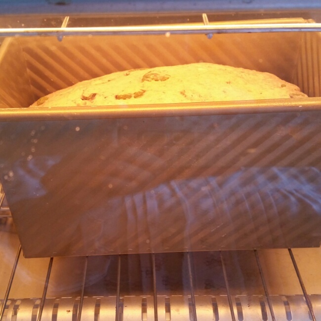 Malt Loaf 【保羅教你做面包S01E01】的做法 步骤10