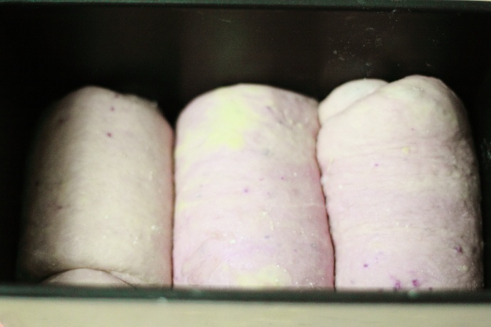 奶香紫薯土司的做法 步骤5