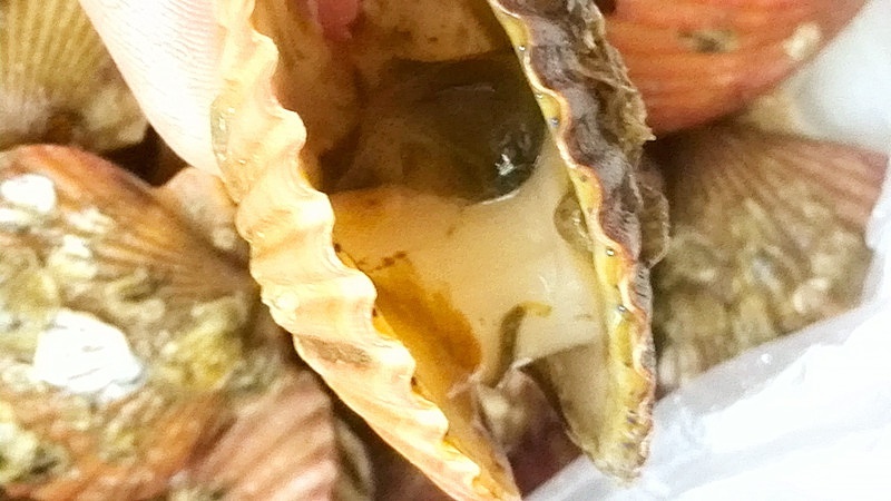 吃不夠的小海鮮---清蒸扇貝的做法 步骤1