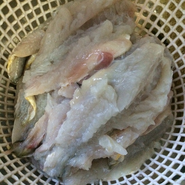 雪菜黃魚面的做法 步骤1